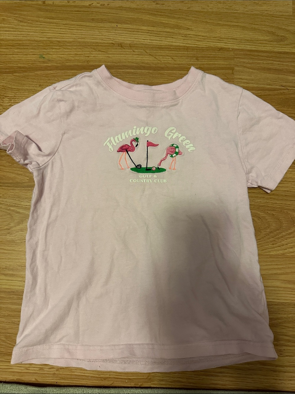 Flamingo Green Pink Graphic Kids Tee